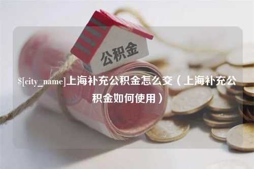 永安上海补充公积金怎么交（上海补充公积金如何使用）